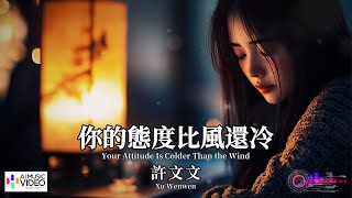 【高清MV】許文文 - 你的態度比風還冷【Pinyin   Eng Sub | AI音樂視頻 | 繁體拼音英文動態字幕】 Xu Wenwen 【许文文  -  你的态度比风还冷】