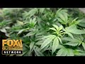 Cannabis company going public on Nasdaq