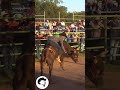 The golden boy  rodeo jaripeo bull bullriding extremesports mexico