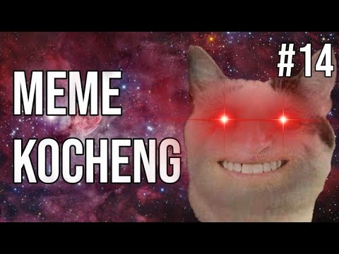 kocheng-oren-kembali-!-meme-kucing-#14