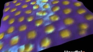 Reaction-Diffusion in Houdini 10 apprentice