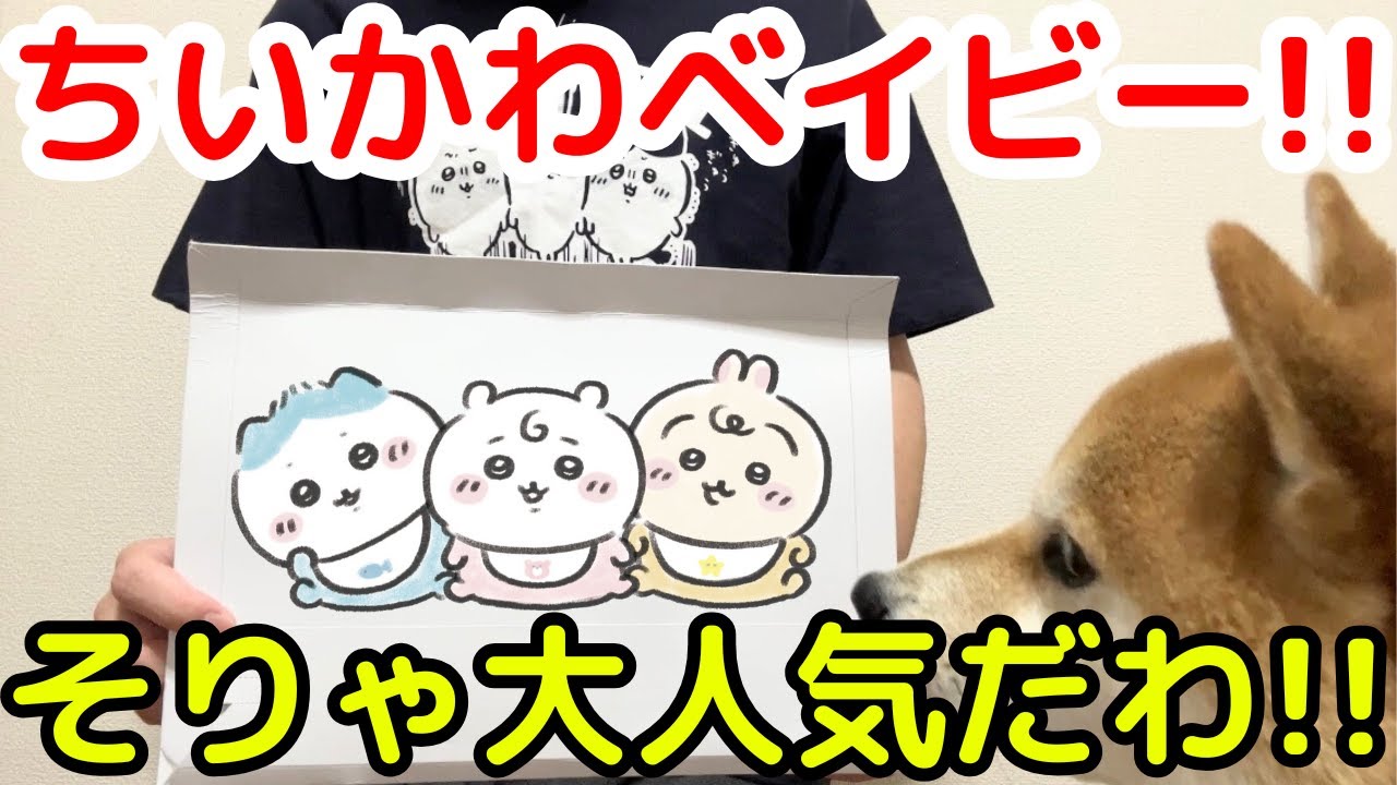 Chiikawa Baby] Unboxing the long-awaited Chiikawa Baby goods