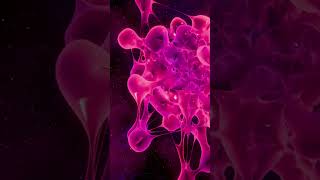 Amygdala Shift Crystallized Intelligence #BrainScience #LifeAfter60