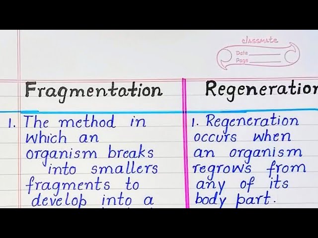 Example Of Regeneration And Fragmentation