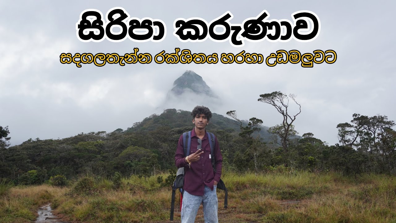 Sandagala Thenna Sri Pada Trail | සදගලතැන්න රක්ශිතය හරහා සිරිපා මලුවට🤍🪷🙏...#sripadaya 