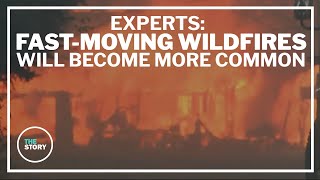 Winter wildfires likely to become more common, experts say