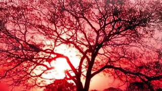 Anti-Nightcore - Mad World