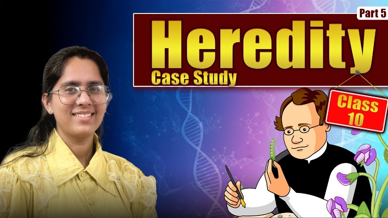 Heredity Case Based | Part 5 | Class 10 science | Krishna Education Center 