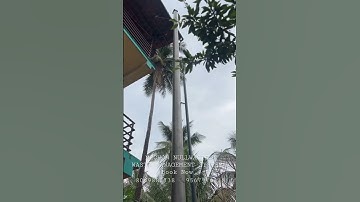 Perfect solution for your all waste disposal problems #incinerator #wastemanagement #wastemanagement