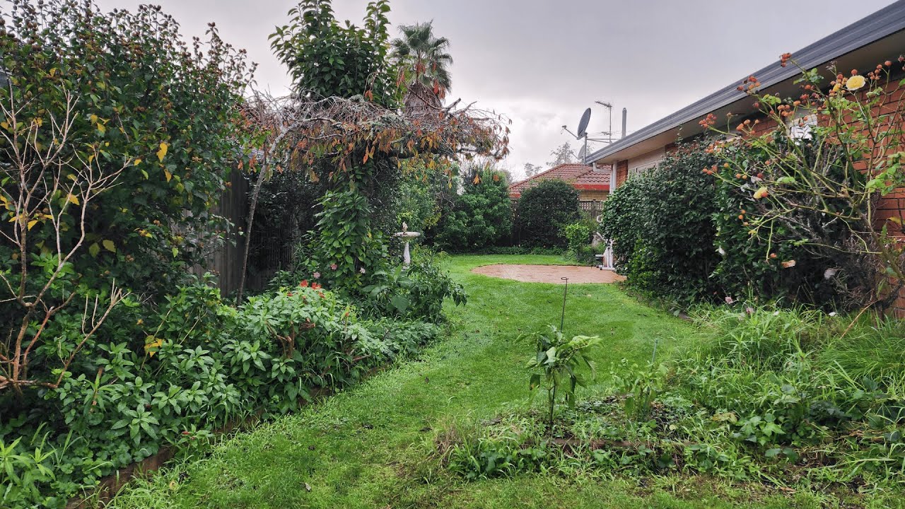 The Owner Was Speechless When They Saw the Garden Transformation