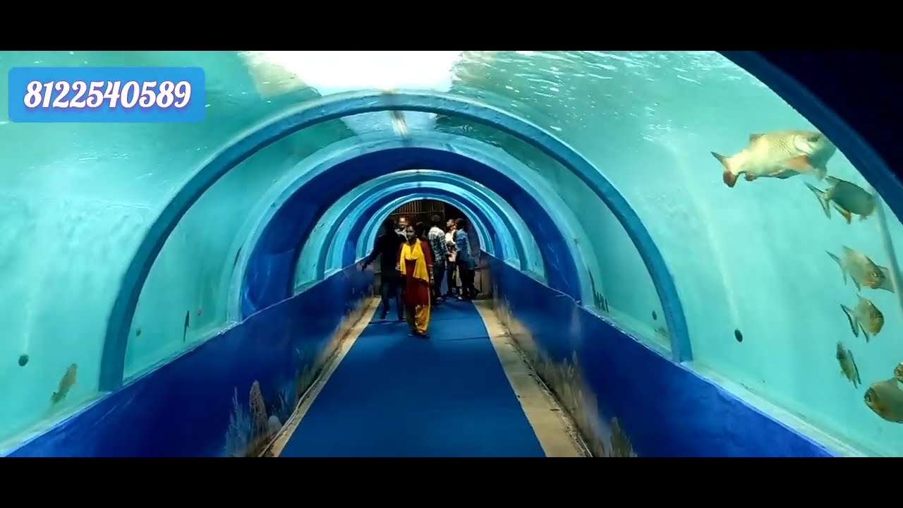 Fish Aquarium Tunnel Rent 8122540589 Under water tunnel Hyderabad