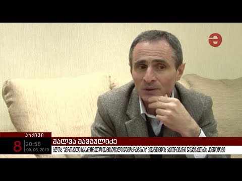 შალვა სავგულიძის გზა იურისტობიდან პოლიტიკოსობამდე