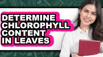 How to Determine Chlorophyll Content in Leaves (Easy Method)