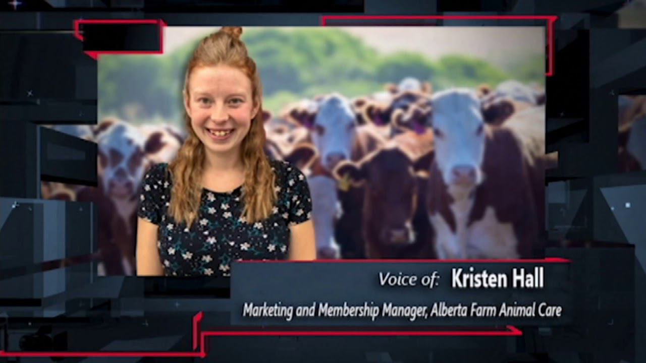 AFAC AWARDS aired JAN 2, 2018