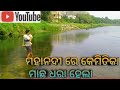 Machha dhara mahanadi ru  catch fish in in mahananadi river youtube pp life style vlogs