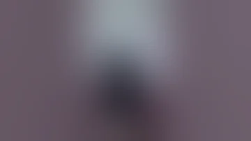 جوارح منقبه تشرح معلومات عن ليله الدخله 4 