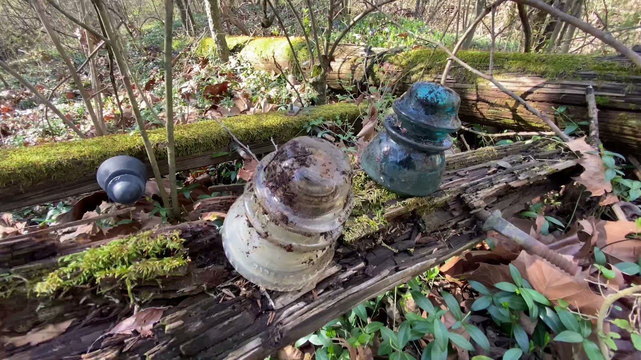 Insulator Hunting on the L&N Railroad March 2021