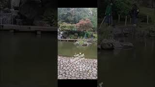 السياحة في لندن للعرب حديقة هولاند بارك Kyoto Garden in Holland Park London. دليلك السياحي في لندن