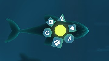 📊 The Operating System for Your Shopify Store