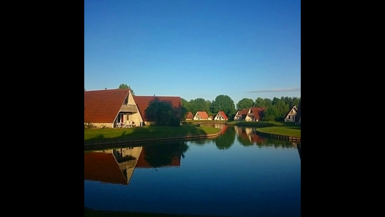 Hooge holt - YouTube