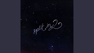 Celebrity split in 2 Profile