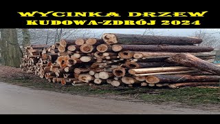 VLOG WYCINKA DRZEW KUDOWA ZDRÓJ 2024