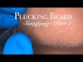 Satisfying plucking beard. Enjoy the sweet moment - part 3 #beardcare #plucking