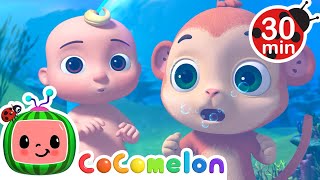 Swimming Song Cocomelon Animal Time Subtitled Sing Along Songs Cartoons For Kids