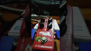 Testing Hall of fame reverb pedal