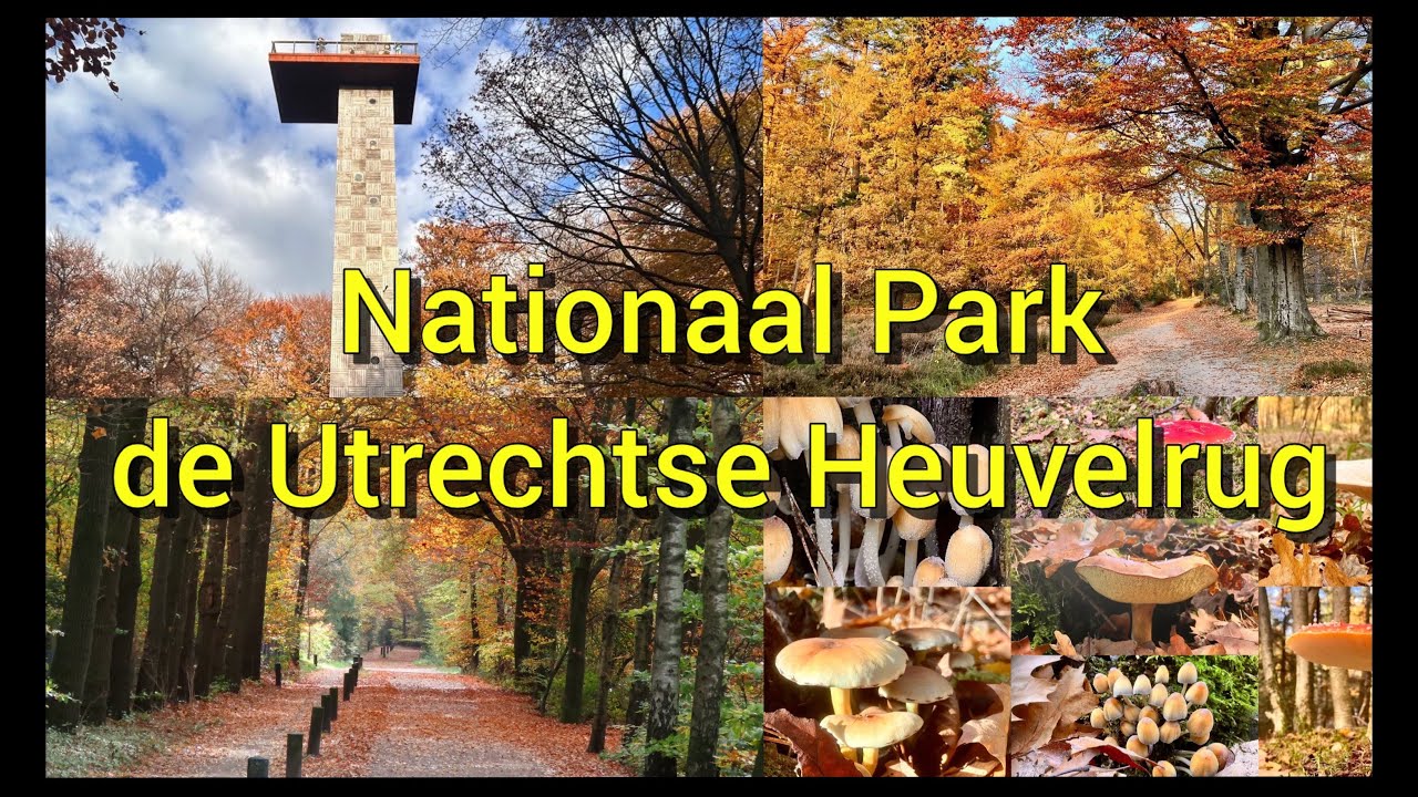 Wandeling Nationaal Park de Utrechtse Heuvelrug