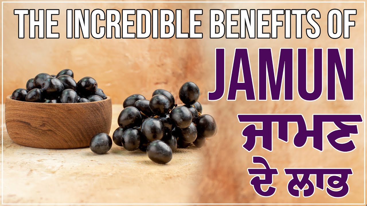 The Incredible Benefits of Jamun | ਜਾਮਣ ਦੇ ਲਾਭ - YouTube