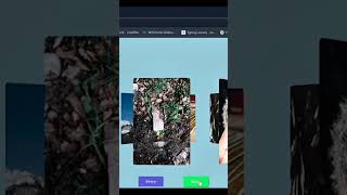 How to create  Photo Gallery with Html | Css | javascript #programming #webdevelopment #learncodes
