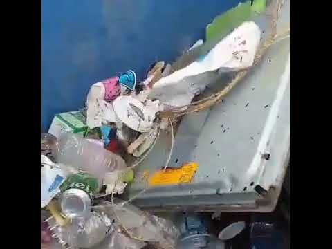 Η συγκλονιστική στιγμή που ο Βασίλης Χαραλαμπόπουλος σώζει ένα σκυλάκι μέσα από τα σκουπίδια