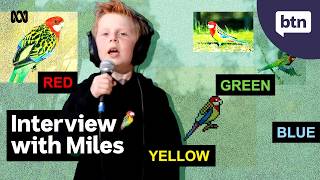 Eastern Rosellas Song - Behind the News @BehindtheNewsABC