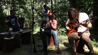 The Cave Singers - Haller Lake (Live at Pickathon)