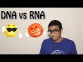 الفرق بين ال DNA و ال RNA