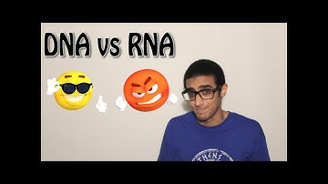 الفرق بين ال DNA و ال RNA
