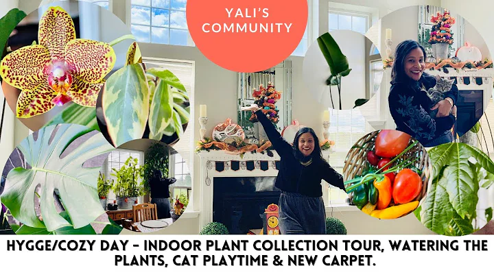 Hygge/Cozy Day - Indoor Plant Collection Tour, Watering the Plants, Cat playtime & New Carpet.