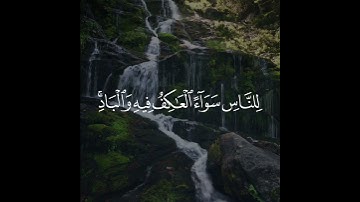 سورة الحج 25 | #القرآن_الكريم | #الشيخ #ماهر_المعيقلي