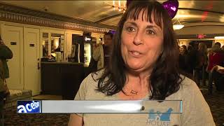 Feline-filled film fest at the Cedar Lee Theatre