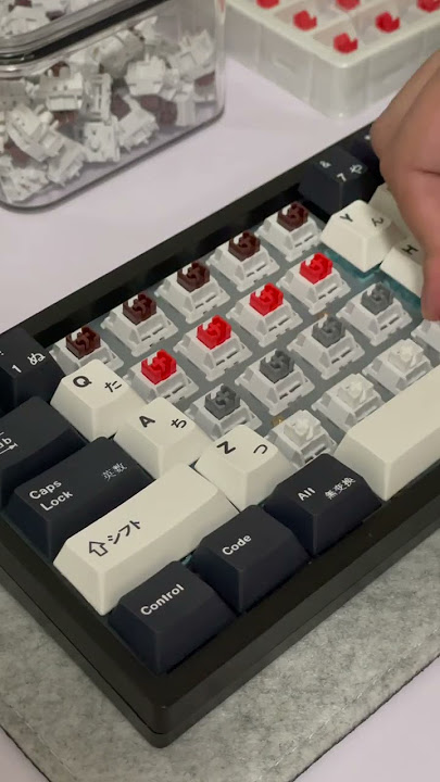 New WS Switches Standard Series | Quietest stock ever