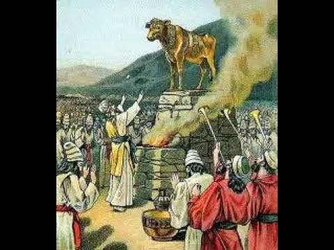 Video: Il toro significa nella Bibbia?