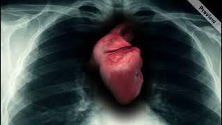 مقطع مونتاج قلب انسان ينبض بدون حقوق