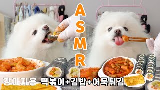 ASMR MUKBANG 매운척 하는 강아지용 떡볶이에 김밥, 어묵튀김, 우동사리까지 푹 담가먹는 먹방 TTEKOBOKKI & KIMBAP FOR DOGS EATING 강아지먹방