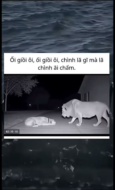 ối dồi ôi trình là gì mà là trình ai chấm😆😂 #memes