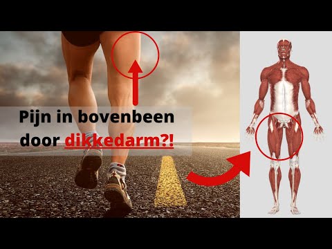 Video: Pijn In De Spieren Van De Benen - Waarom Doen De Spieren Van De Benen Pijn?