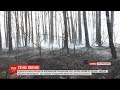 Житомирська область у вогні: навколишні села вигоріли до цурки через паліїв трави