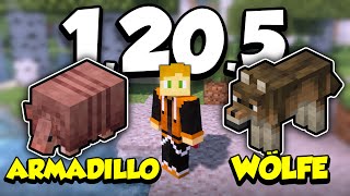 ALLE ÄNDERUNGEN in der Minecraft 1.20.5! Armadillo, Wolfrüstung & mehr