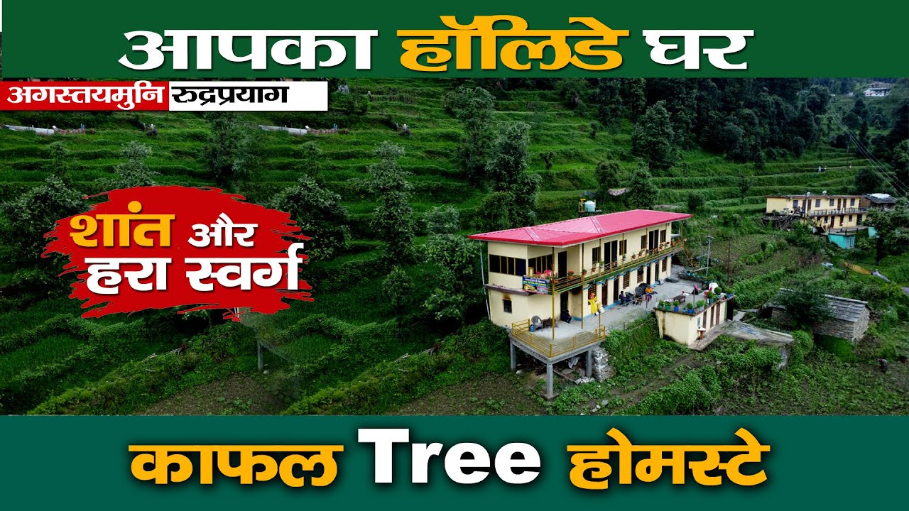 Visit rudraprayag।आपके सपनों का हॉलिडे डे होम। Kaphal tree homestay।