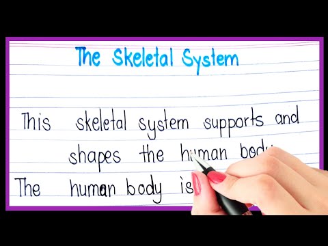 Video: I skeletsystem definition?